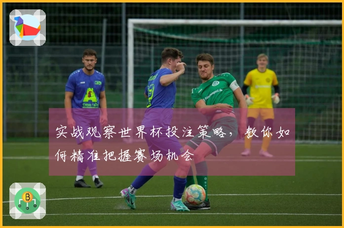 实战观察世界杯投注策略，教你如何精准把握赛场机会