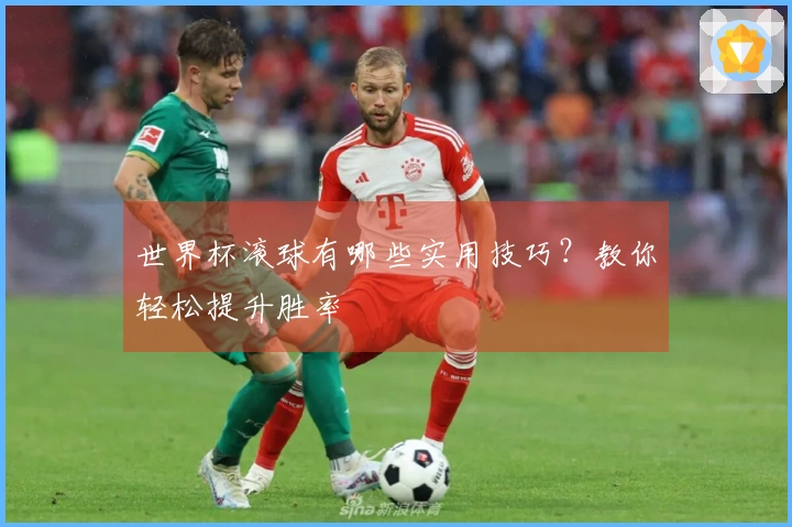 世界杯滚球有哪些实用技巧？教你轻松提升胜率