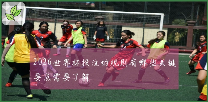 2026世界杯投注的规则有哪些关键要点需要了解