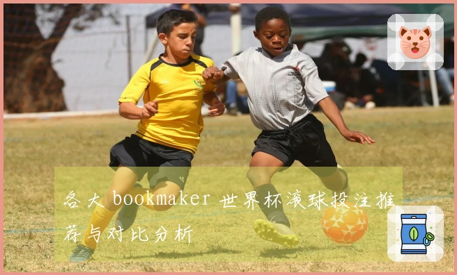 各大 bookmaker 世界杯滚球投注推荐与对比分析
