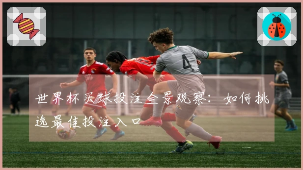 世界杯买球投注全景观察：如何挑选最佳投注入口