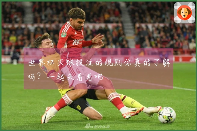 世界杯买球投注的规则你真的了解吗？一起来看看吧