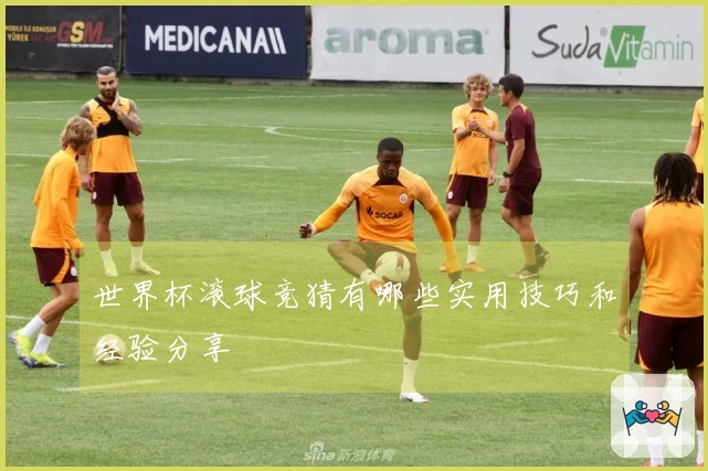世界杯滚球竞猜有哪些实用技巧和经验分享
