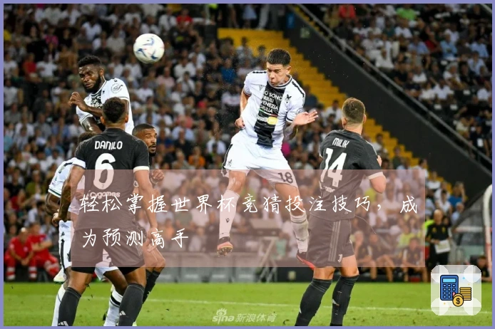 轻松掌握世界杯竞猜投注技巧，成为预测高手