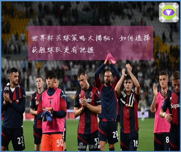 世界杯买球策略大揭秘，如何选择获胜球队更有把握