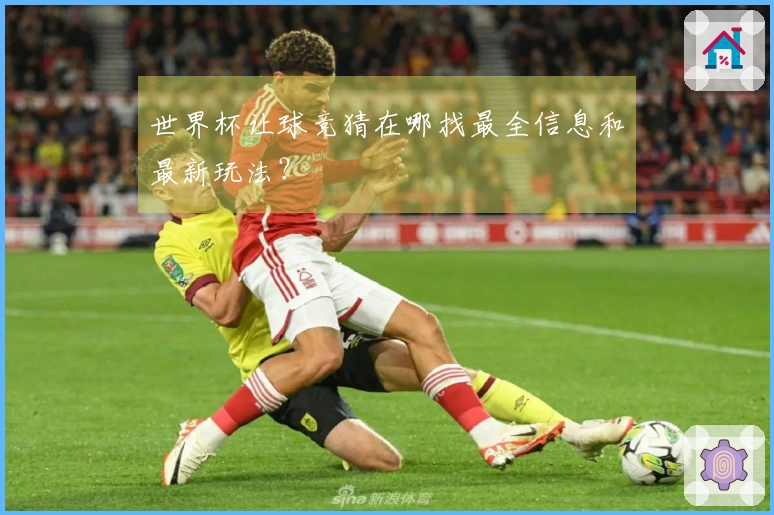 世界杯让球竞猜在哪找最全信息和最新玩法？