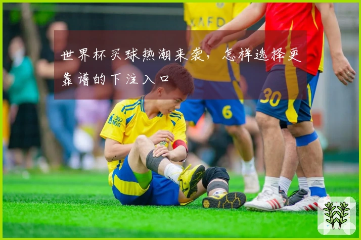 世界杯买球热潮来袭，怎样选择更靠谱的下注入口