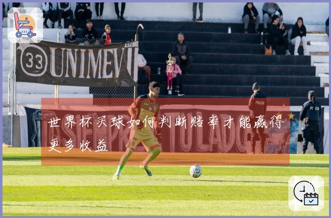 世界杯买球如何判断赔率才能赢得更多收益