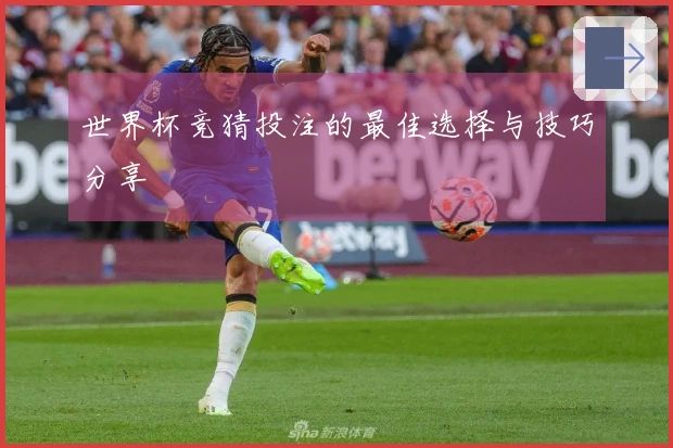 世界杯竞猜投注的最佳选择与技巧分享