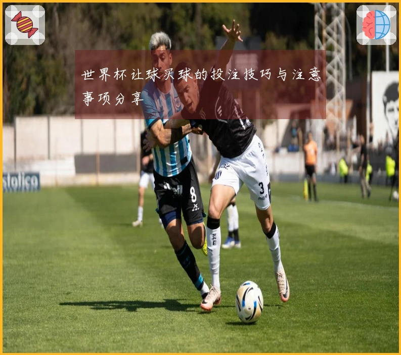 世界杯让球买球的投注技巧与注意事项分享