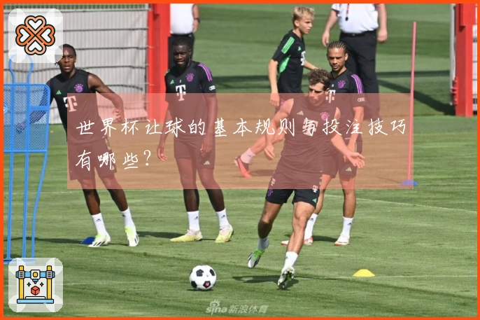 世界杯让球的基本规则与投注技巧有哪些？