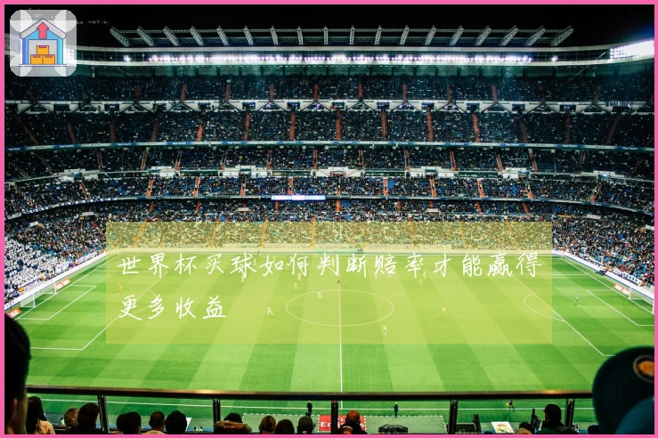 世界杯买球如何判断赔率才能赢得更多收益
