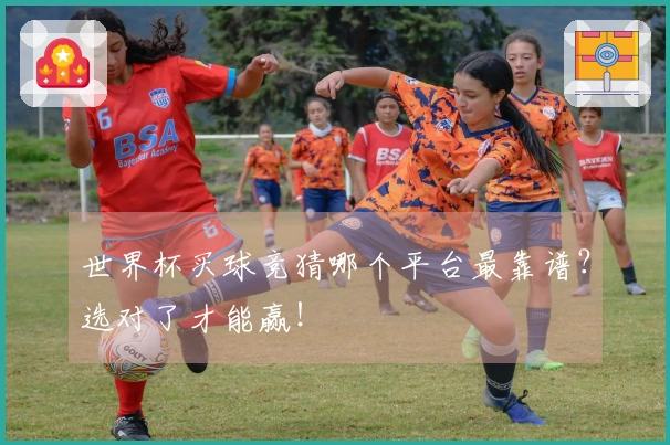 世界杯买球竞猜哪个平台最靠谱？选对了才能赢！