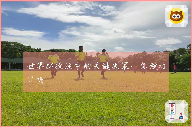 世界杯投注中的关键决策，你做对了吗
